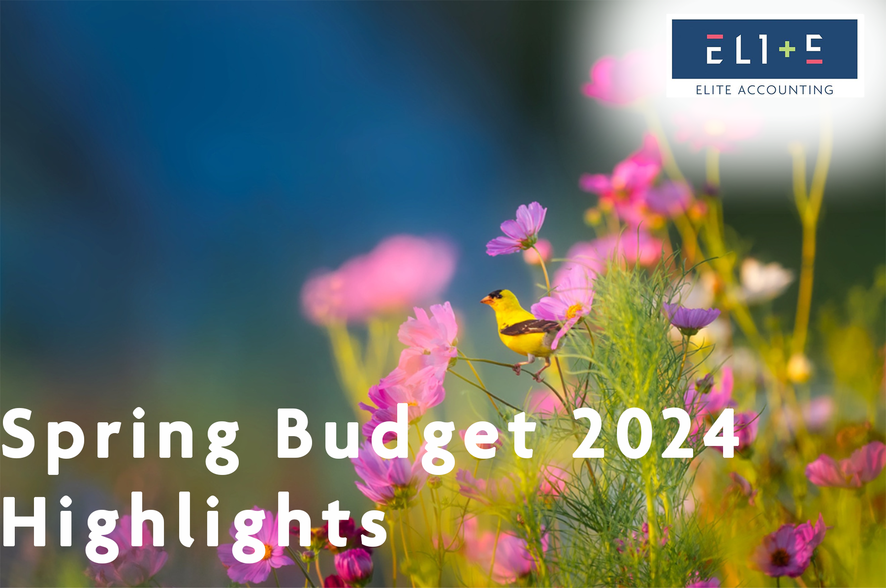 Spring Budget 2024 Highlights Elite Accounting Leicester